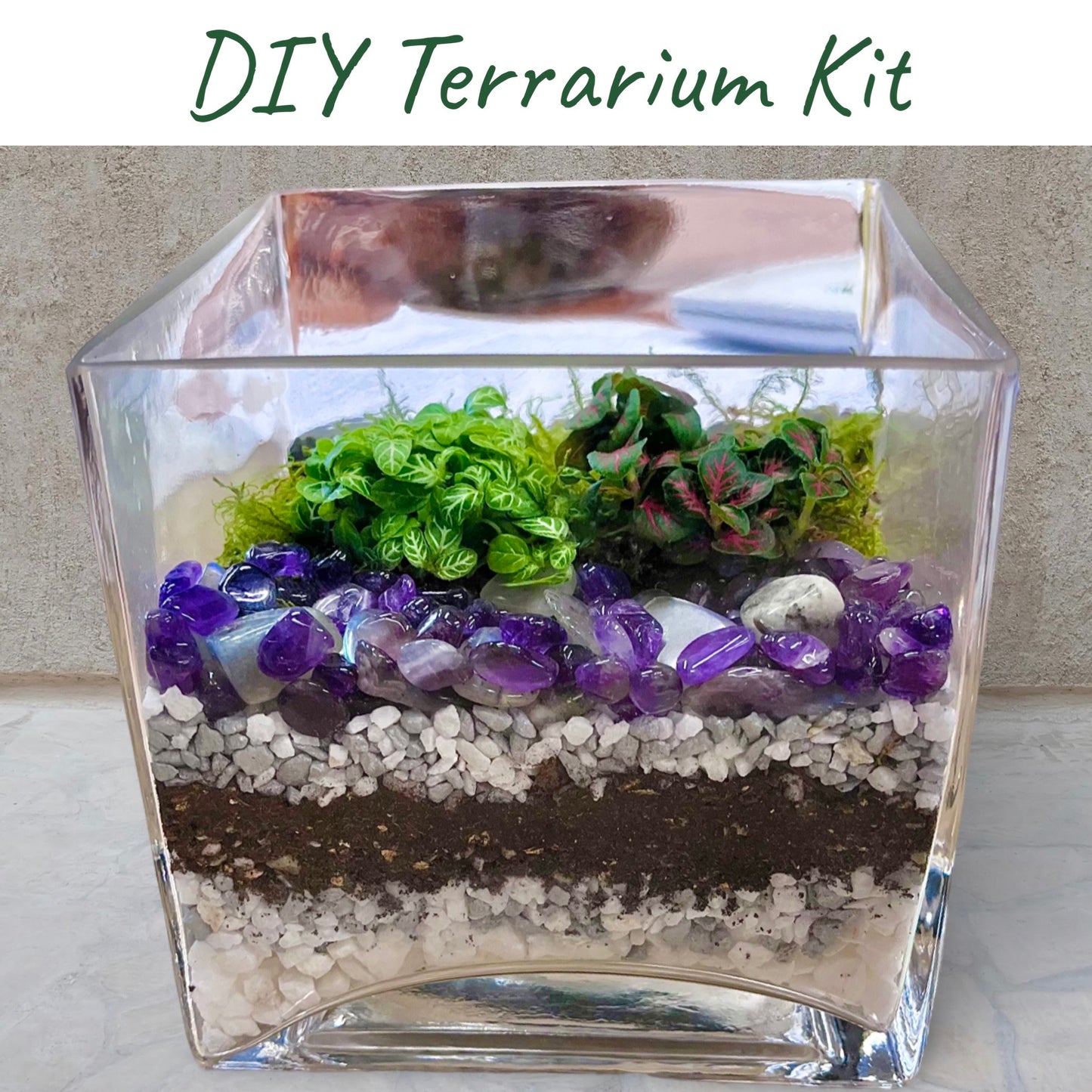 DIY Terrarium Kit Rainforest Cube