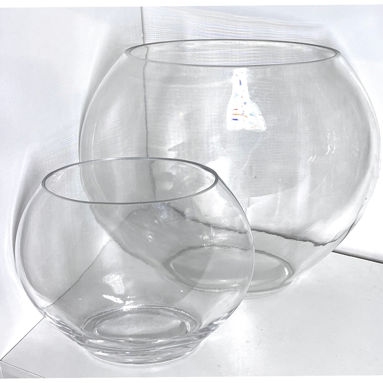 Narrow Fish Bowl Terrarium Glass Vase for DIY