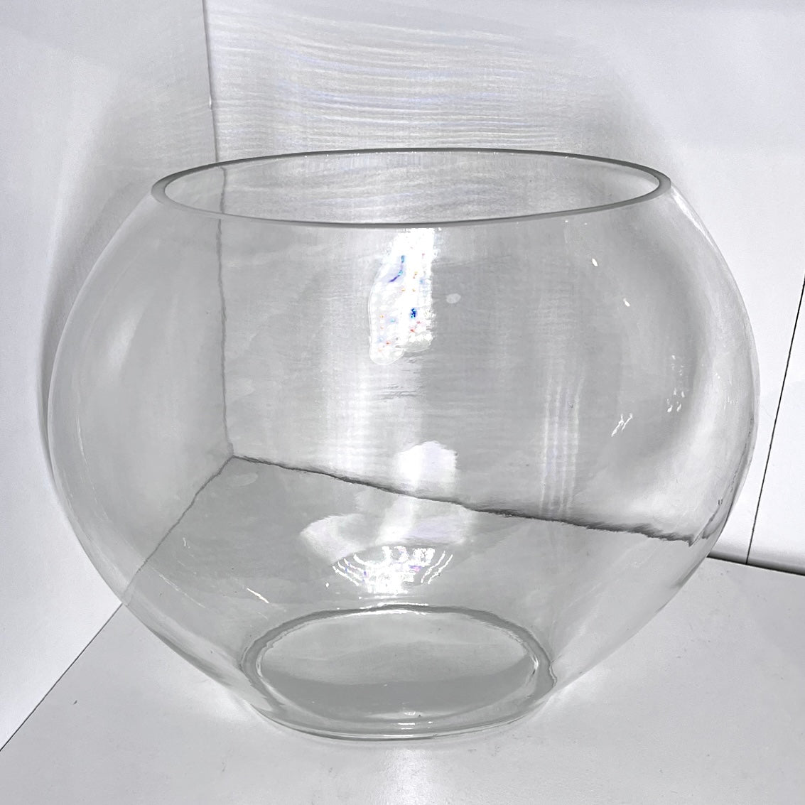 Narrow Fish Bowl Terrarium Glass Vase for DIY