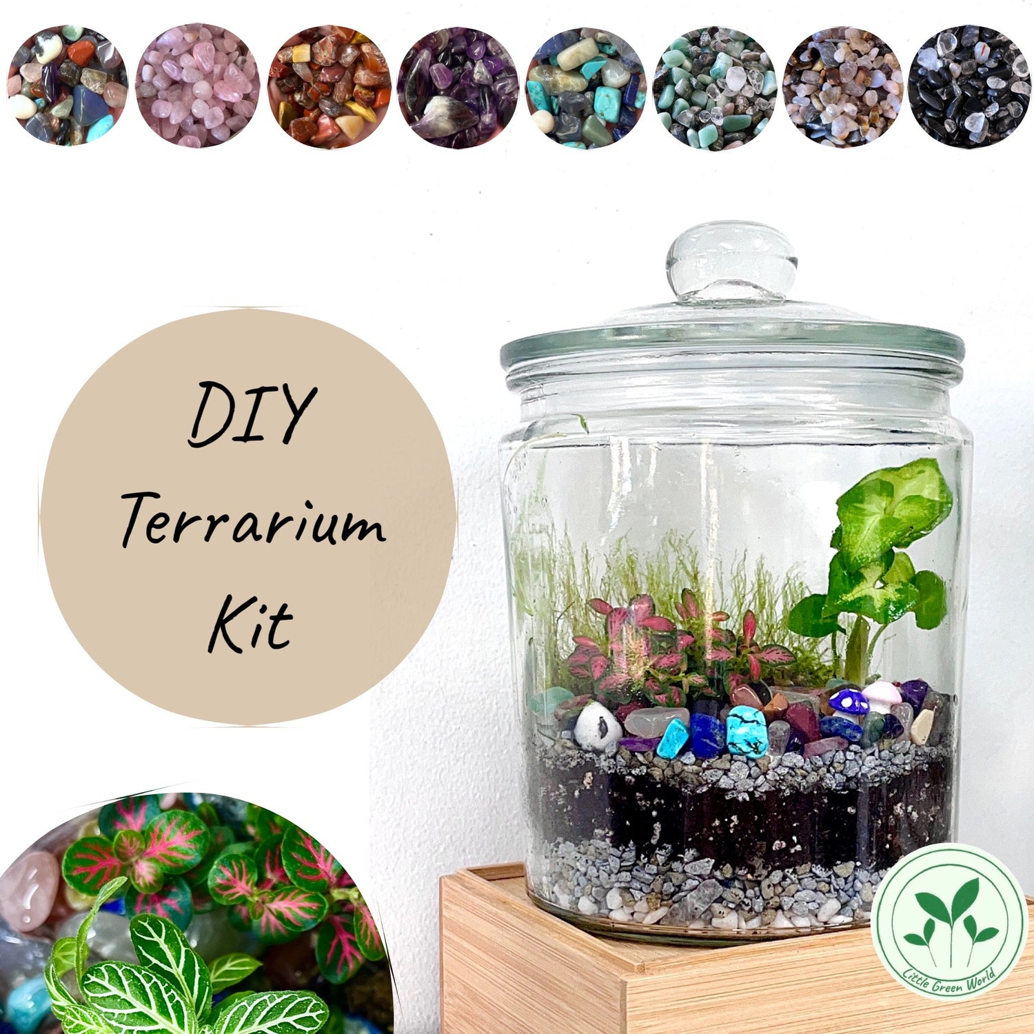 DIY Kits & Supplies
