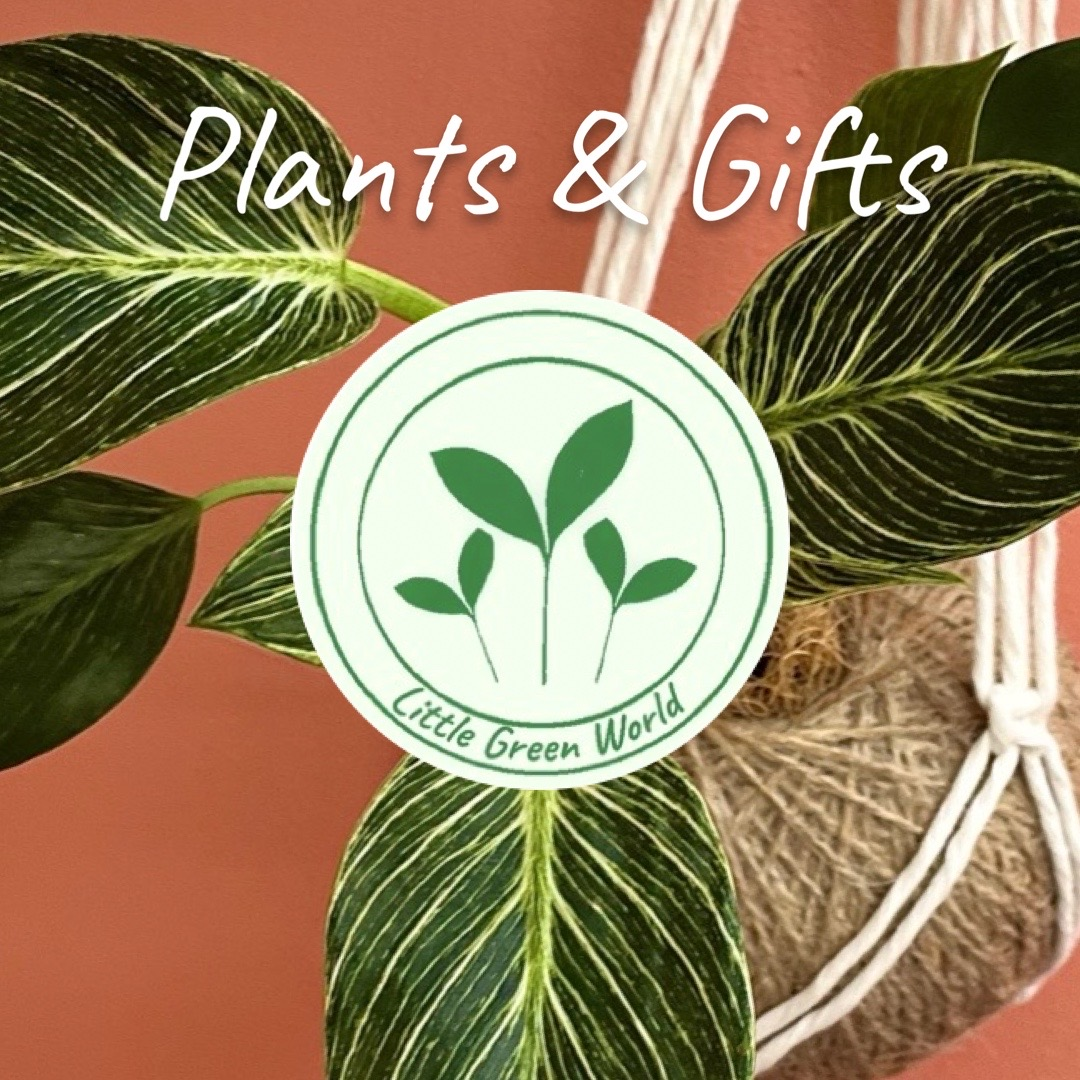 Plants & Gifts