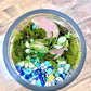 Duck Pond Terrarium