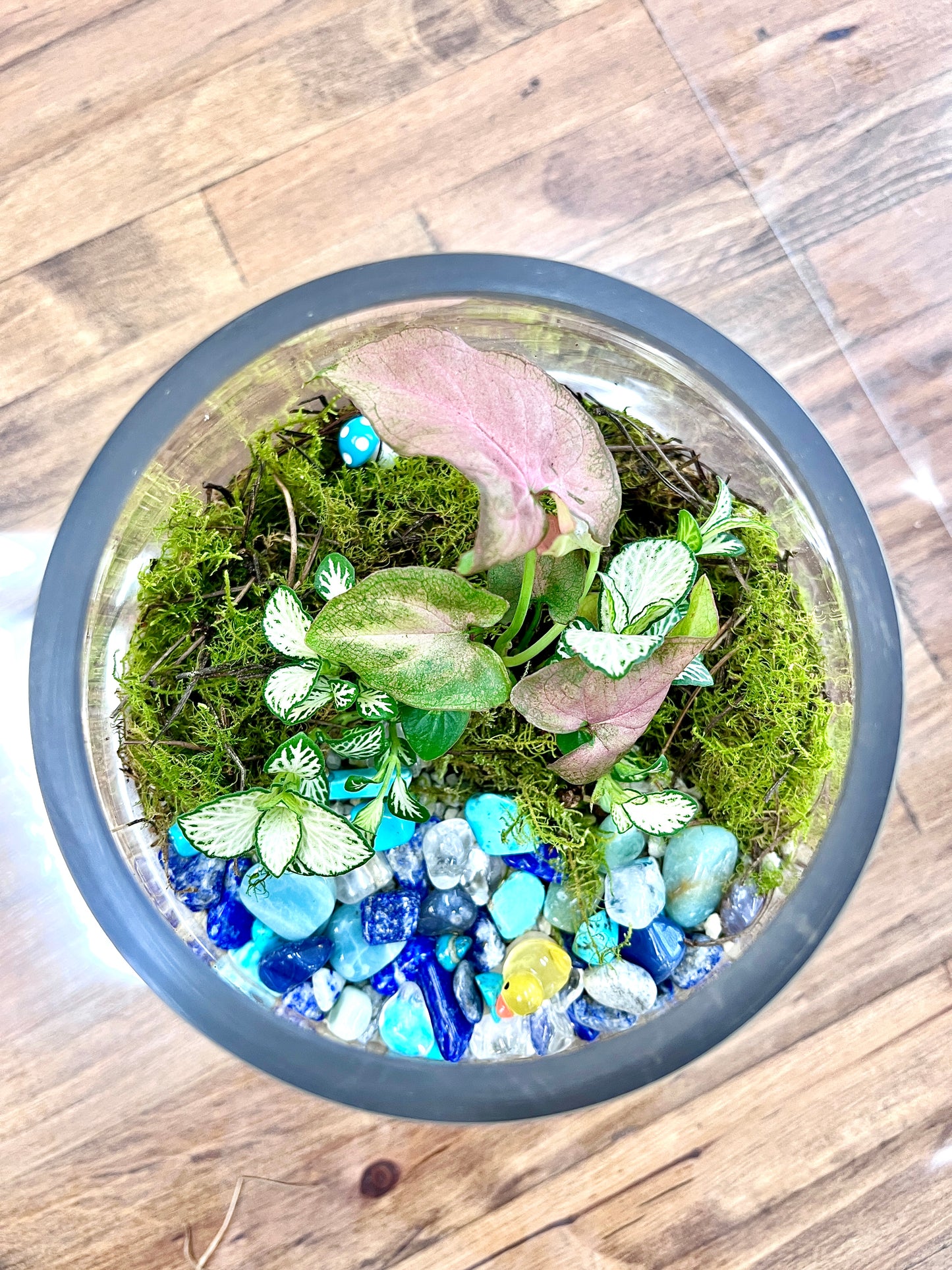 Duck Pond Terrarium