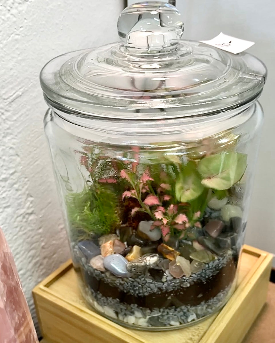 Rainforest Terrarium Jar - Neutral Mix Crystals