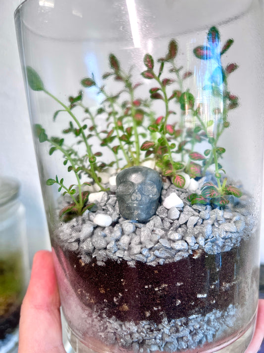 Crystal Skull Terrarium Tower