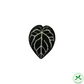 Plant leaf pop socket