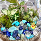 Duck Pond Terrarium