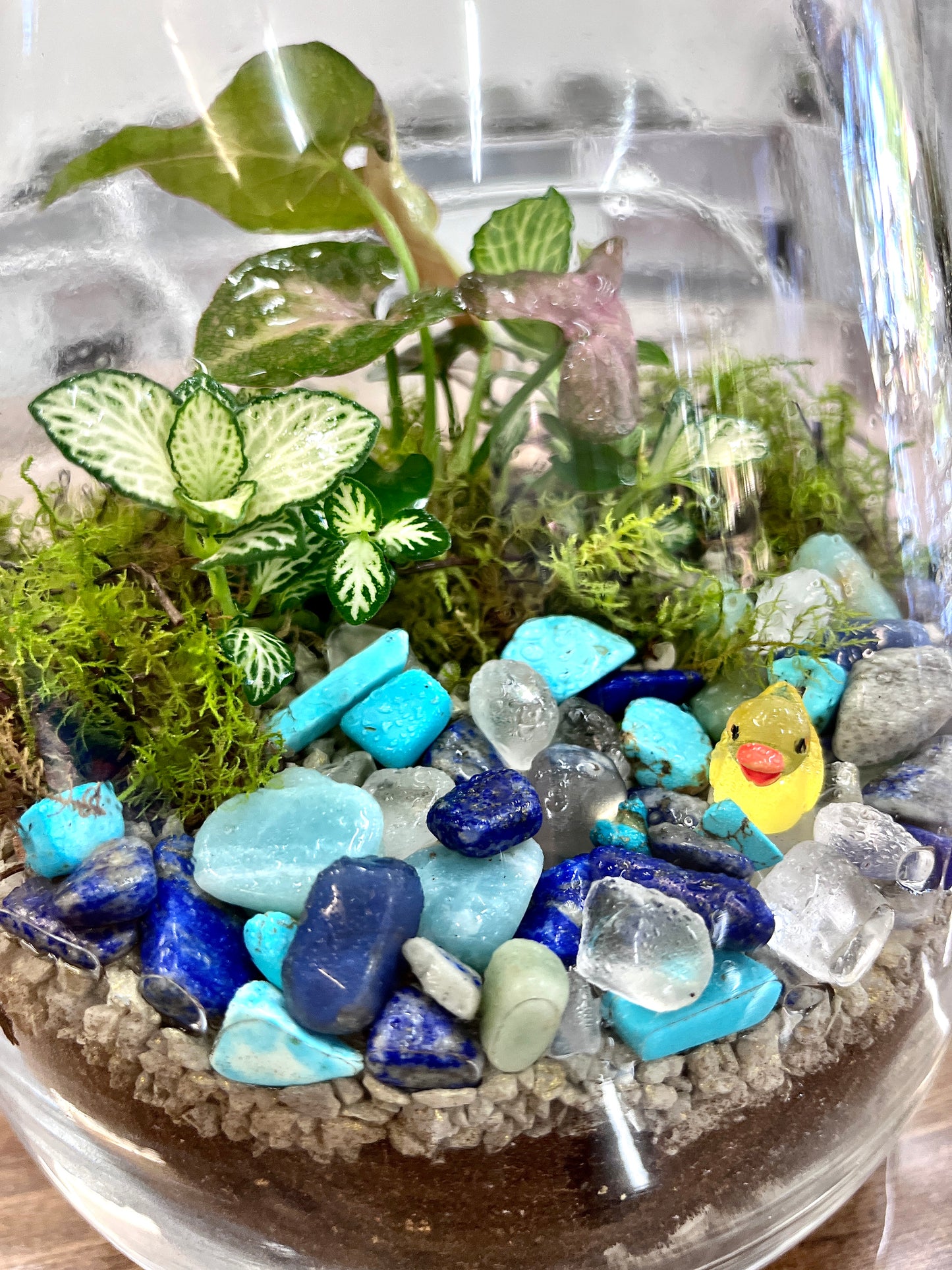 Duck Pond Terrarium