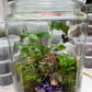 XL Rainforest Terrarium Jar - Amethyst Crystals