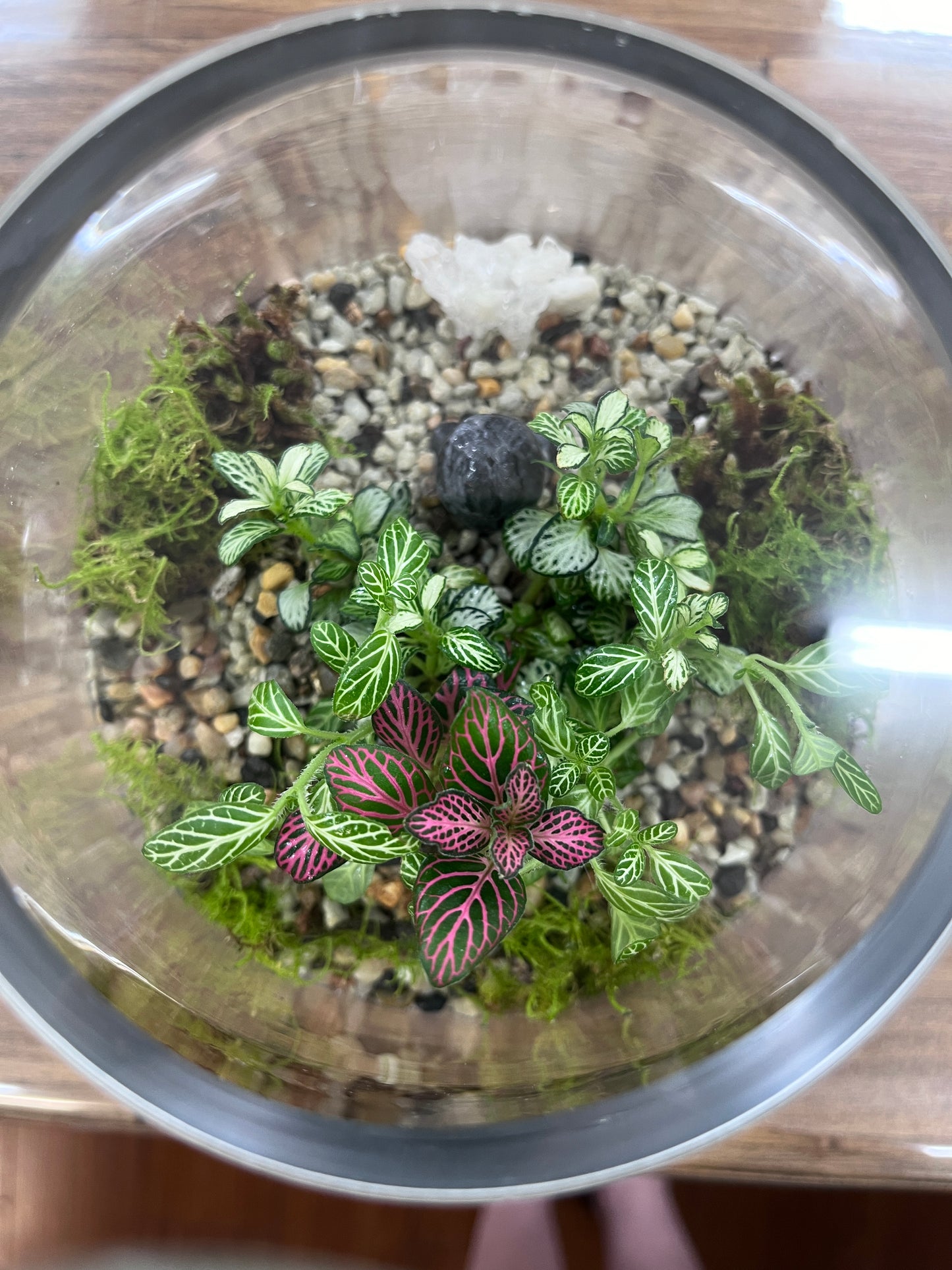 Crystal Buddha Terrarium