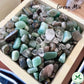 DIY Terrarium Kit - Rainforest Jar