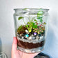 Rainforest Terrarium Jar - Dark Mix Crystals