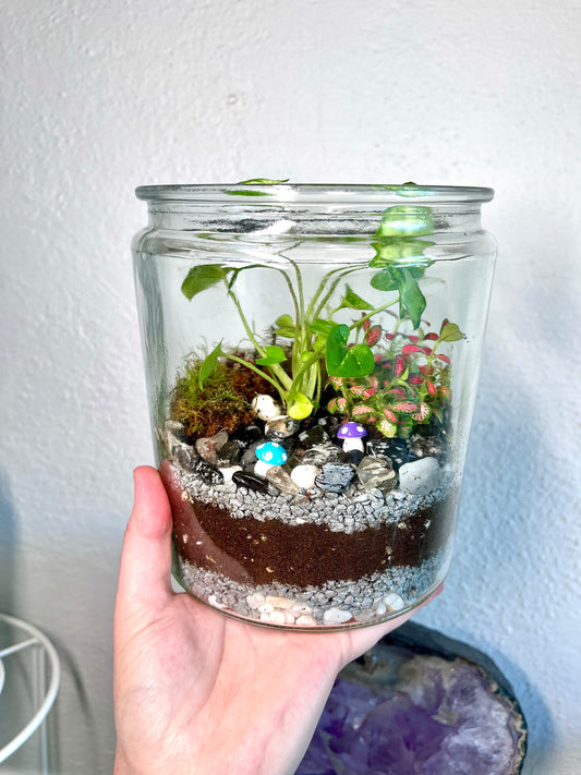 Rainforest Terrarium Jar - Dark Mix Crystals