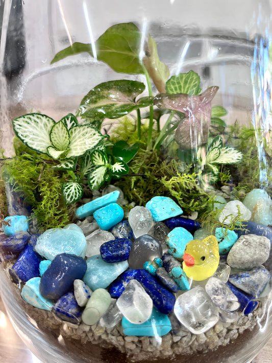 Duck Pond Terrarium