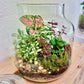 Forest Garden Terrarium