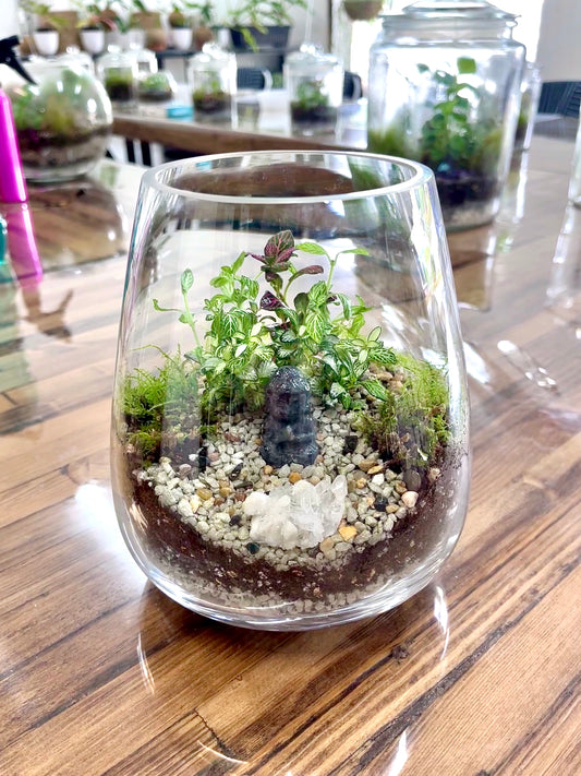 Crystal Buddha Terrarium