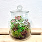 Forest Garden Terrarium