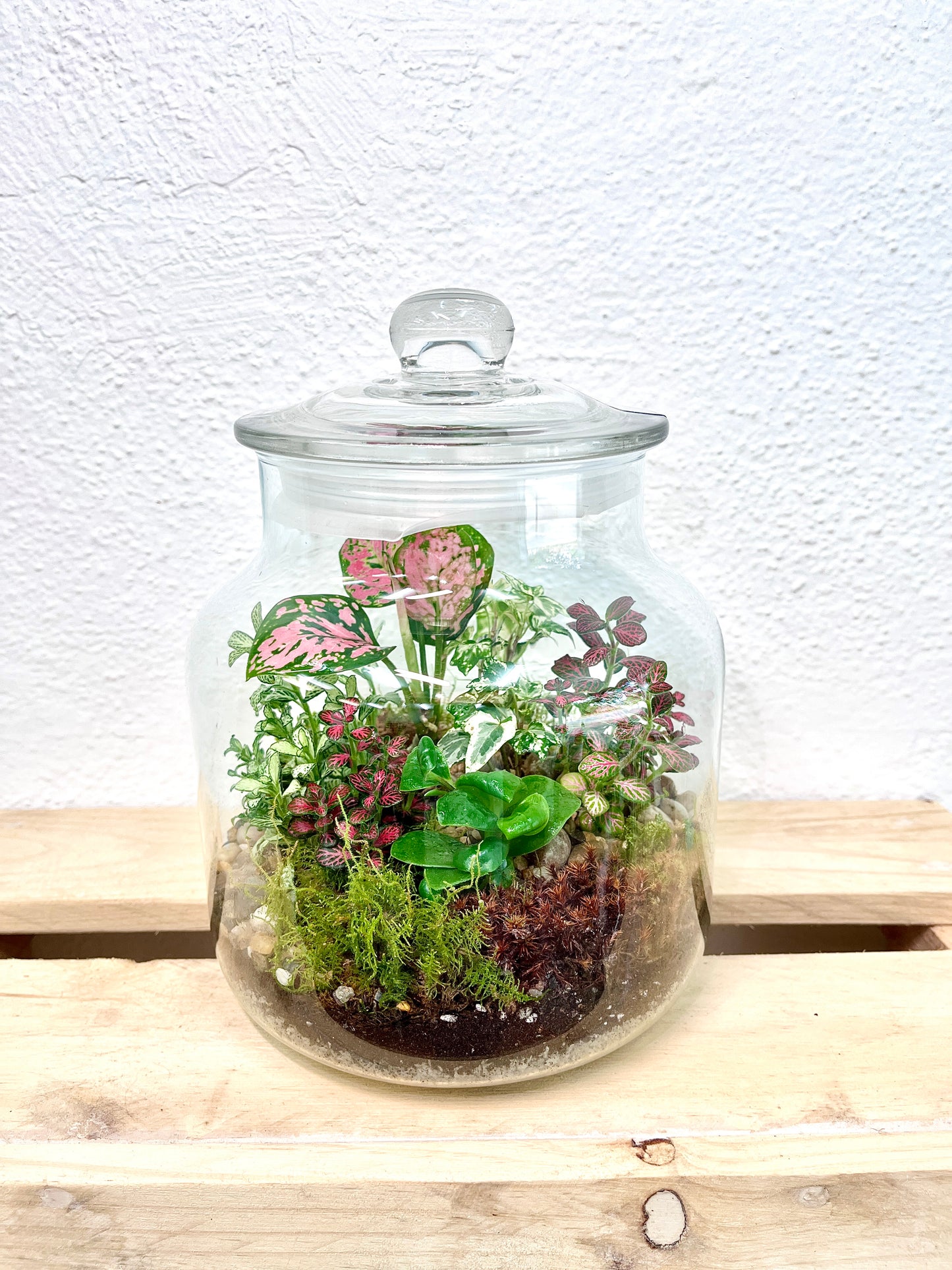 Forest Garden Terrarium