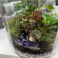 XL Rainforest Terrarium Jar - Amethyst Crystals