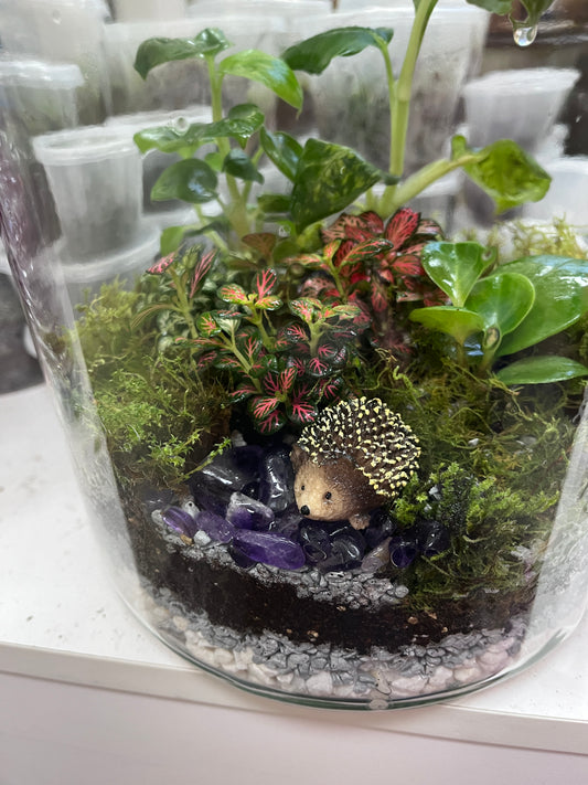 XL Rainforest Terrarium Jar - Amethyst Crystals