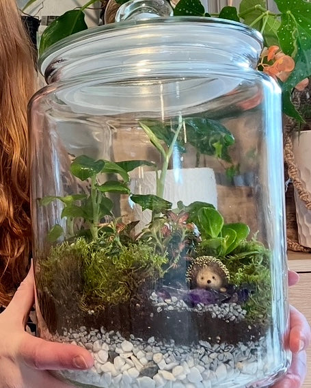 XL Rainforest Terrarium Jar - Amethyst Crystals