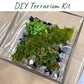 DIY Terrarium Kit Rainforest Cube