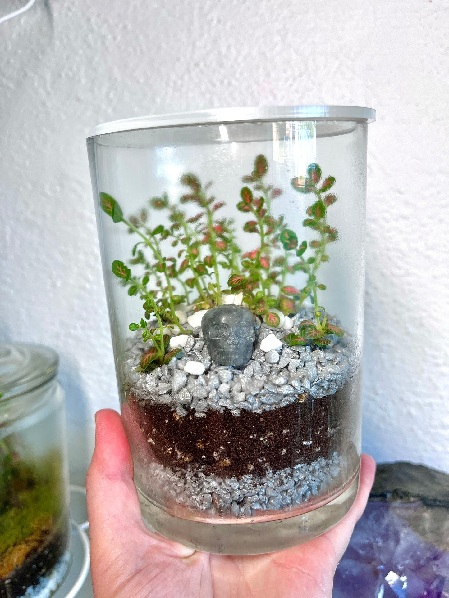 Crystal Skull Terrarium Tower