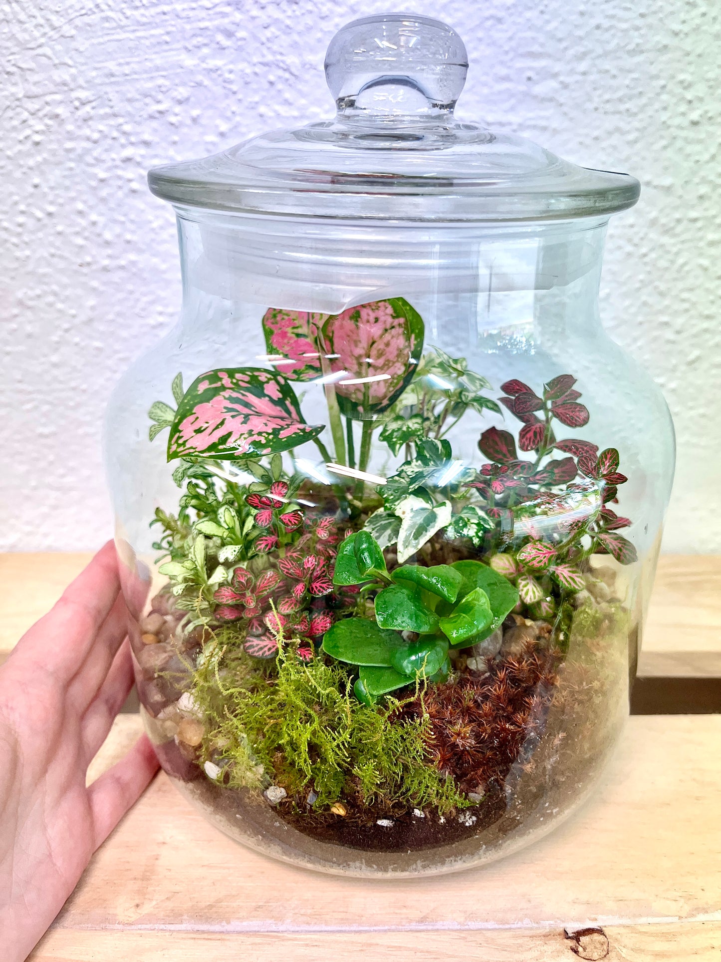 Forest Garden Terrarium