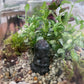 Crystal Buddha Terrarium