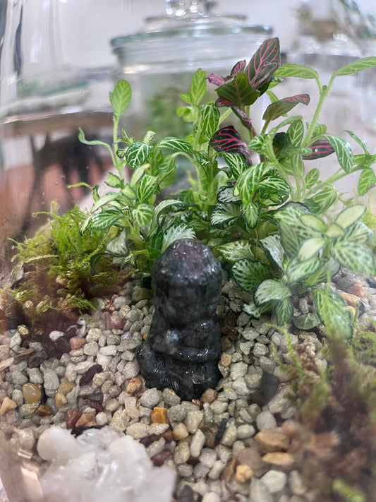 Crystal Buddha Terrarium