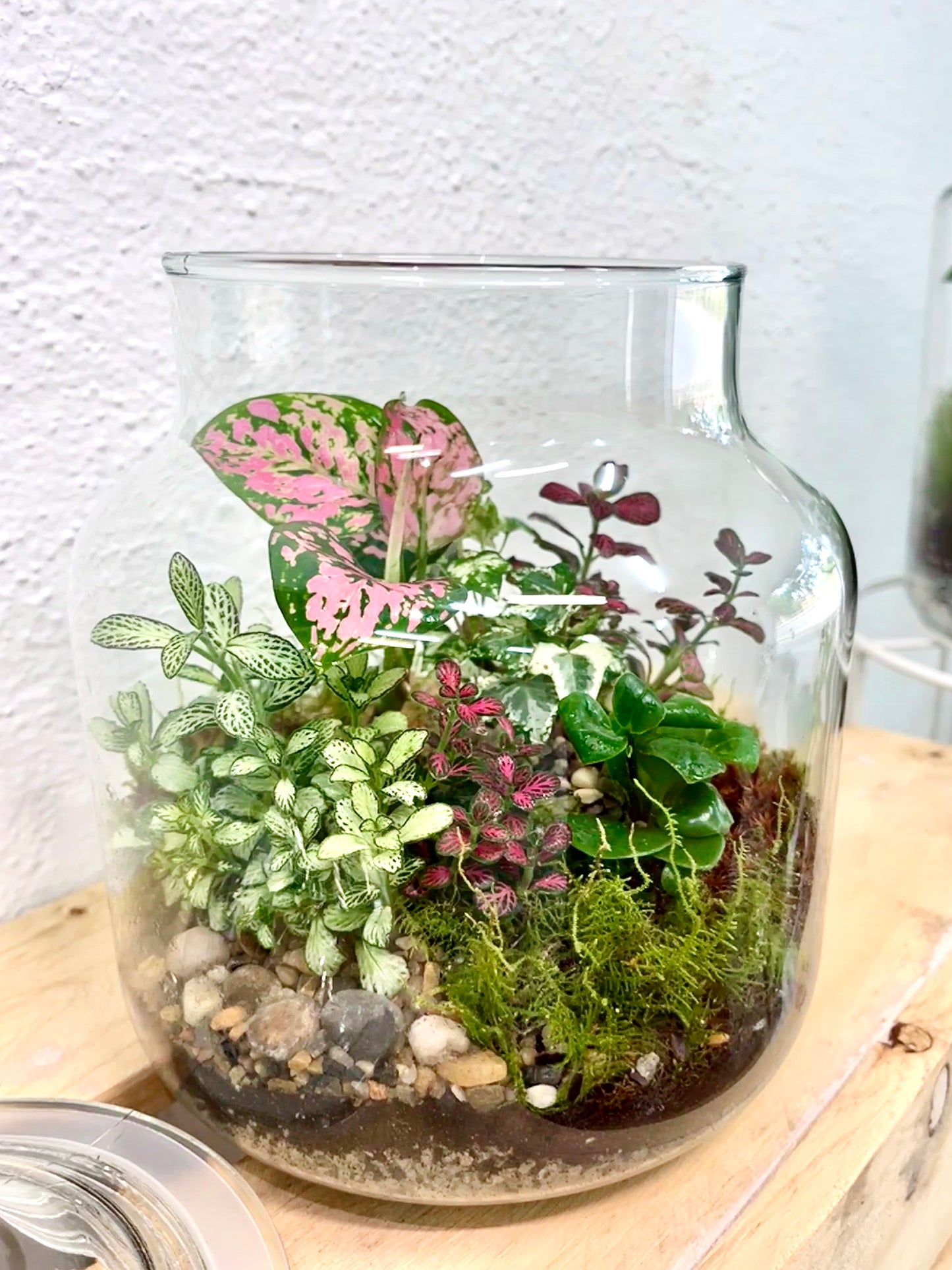 Forest Garden Terrarium