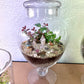 Crystal Yoga Terrarium Jar