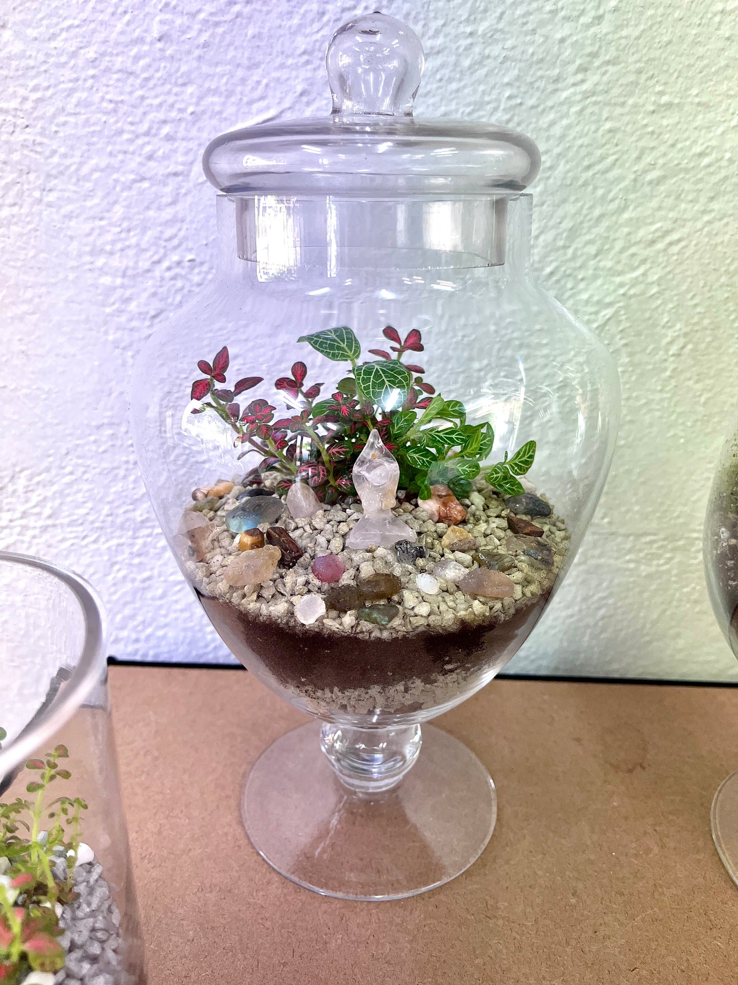 Crystal Yoga Terrarium Jar