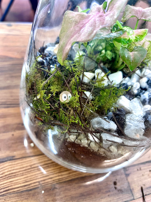 Little Fluff Terrarium