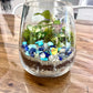 Duck Pond Terrarium