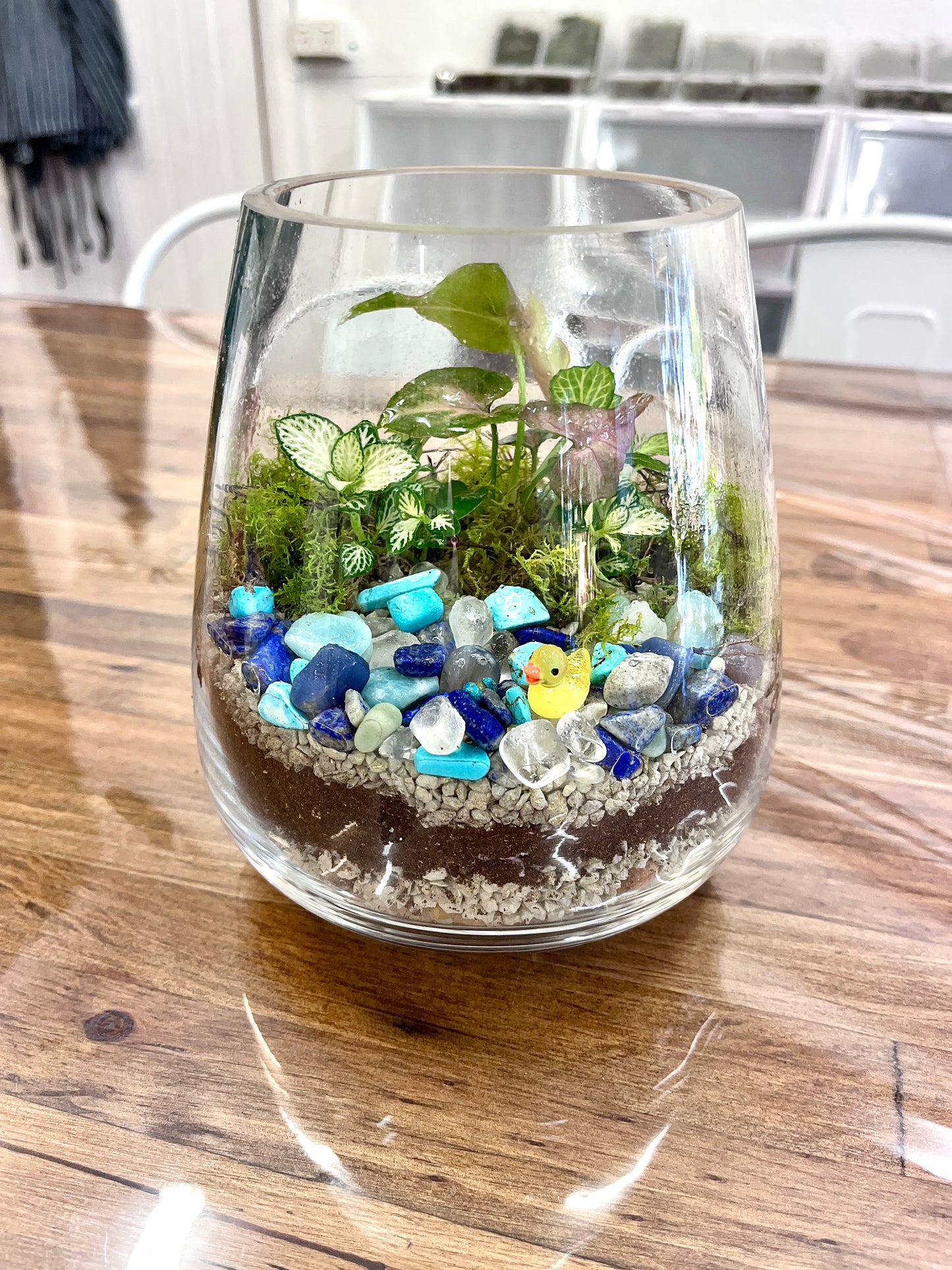 Duck Pond Terrarium