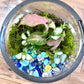 Duck Pond Terrarium