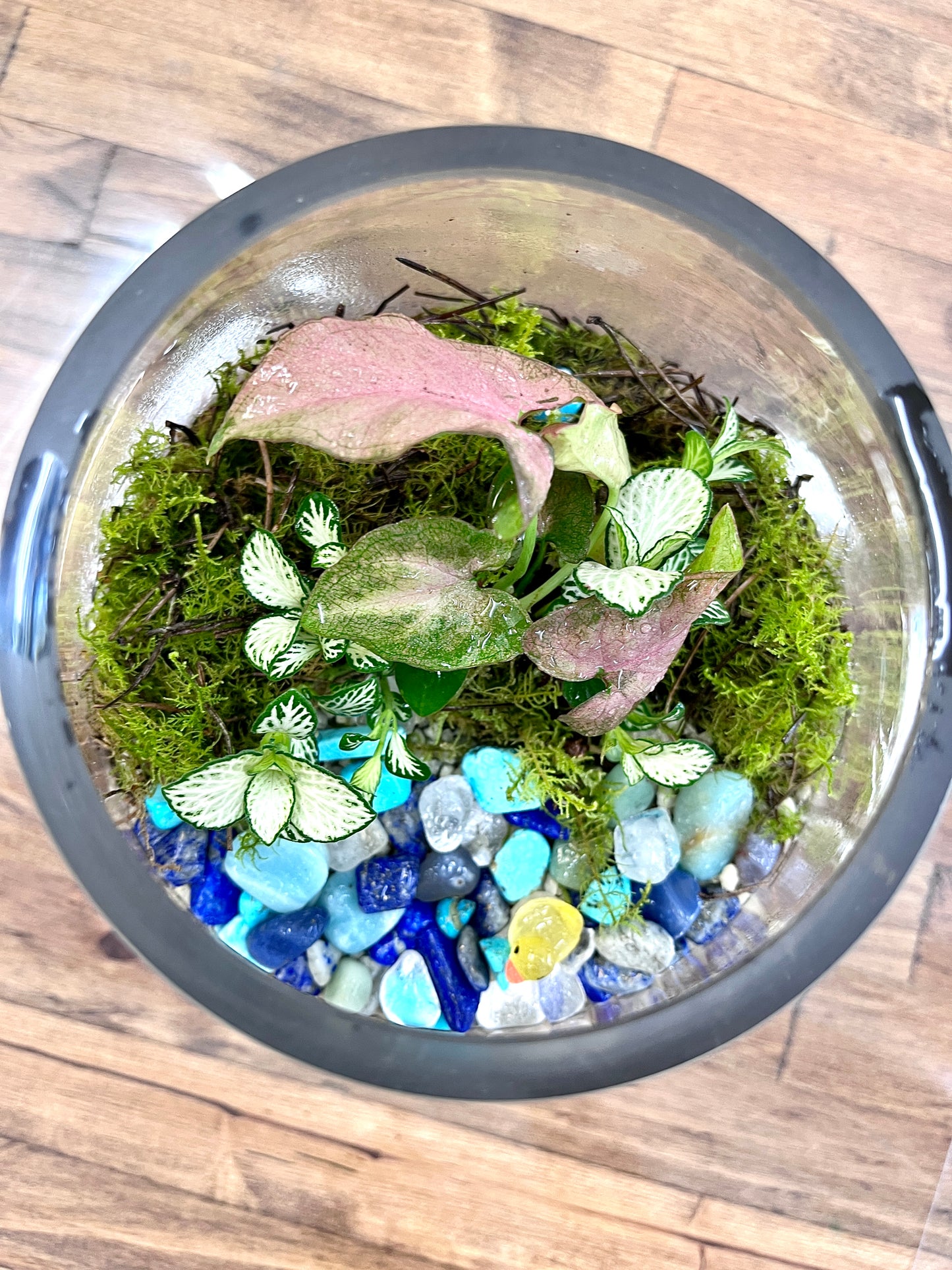 Duck Pond Terrarium