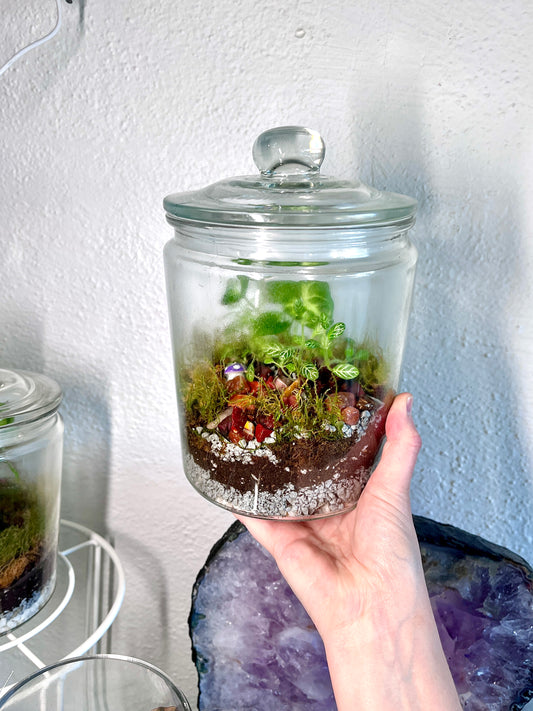 Rainforest Terrarium Jar - Rustic Mix Crystals