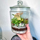 Rainforest Terrarium Jar - Green & Pink Crystals