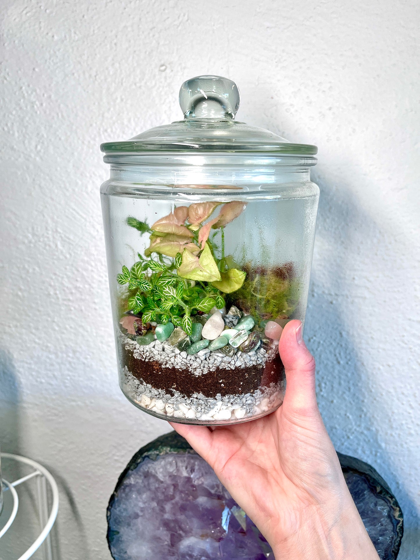 Rainforest Terrarium Jar - Green & Pink Crystals