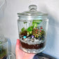 Rainforest Terrarium Jar - Dark Mix Crystals