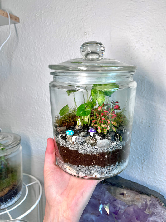 Rainforest Terrarium Jar - Dark Mix Crystals