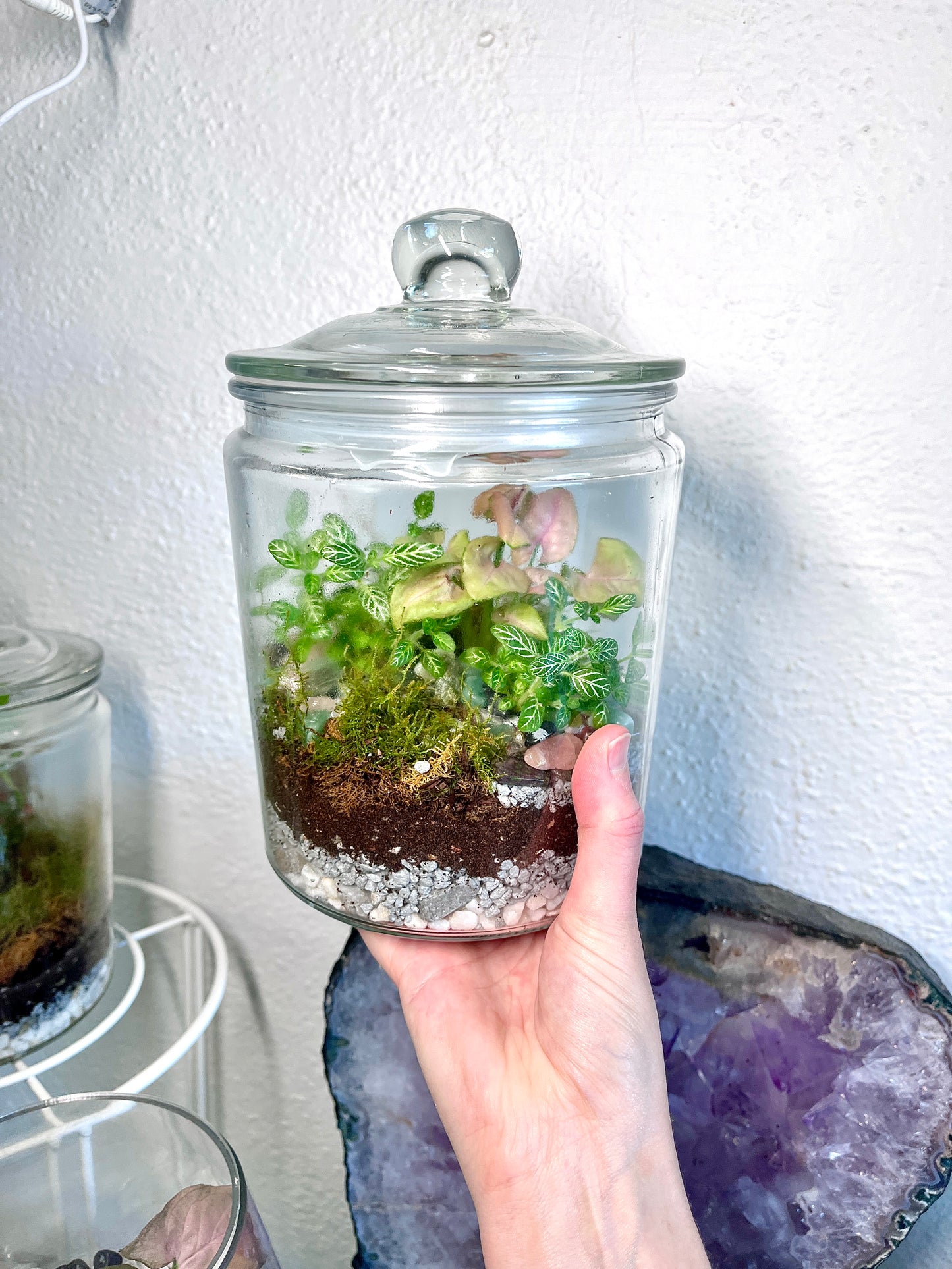 Rainforest Terrarium Jar - Green & Pink Crystals