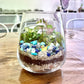 Duck Pond Terrarium