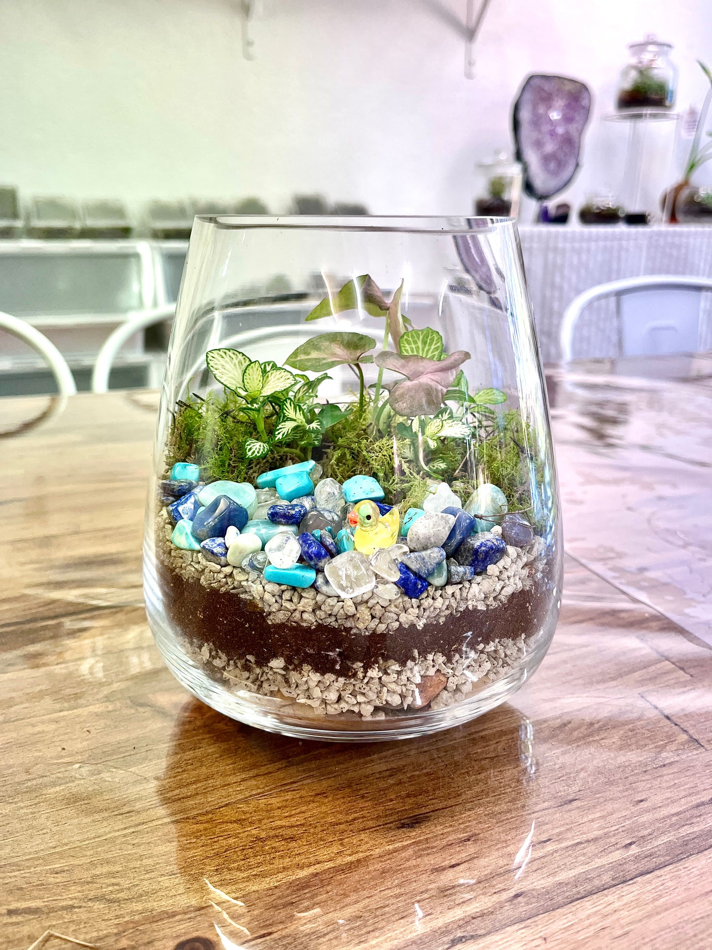 Duck Pond Terrarium