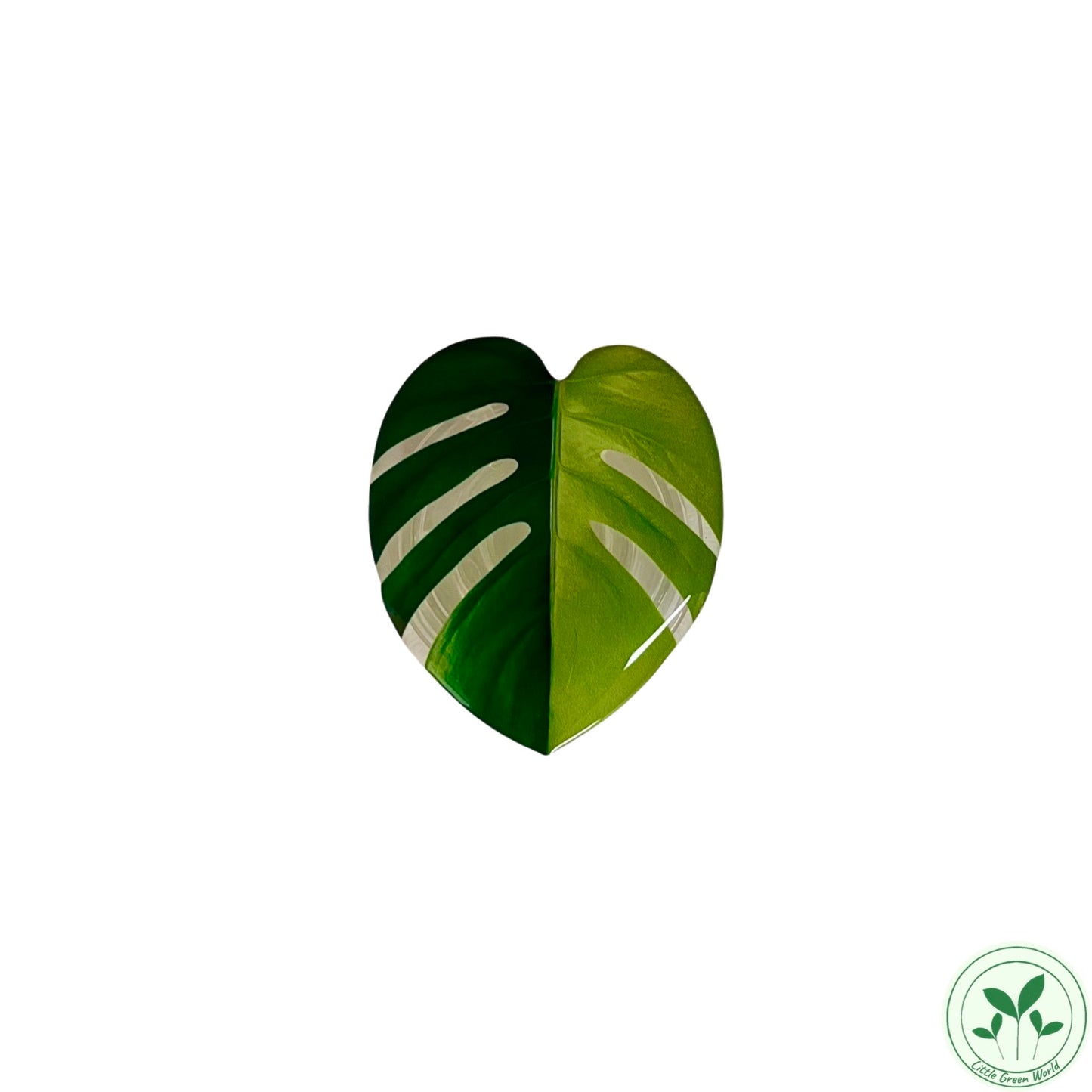 Plant leaf pop socket