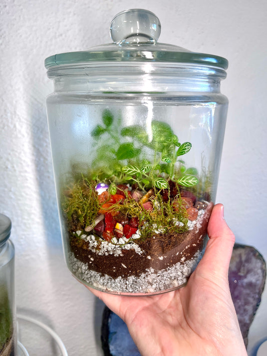 Rainforest Terrarium Jar - Rustic Mix Crystals