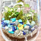 Duck Pond Terrarium