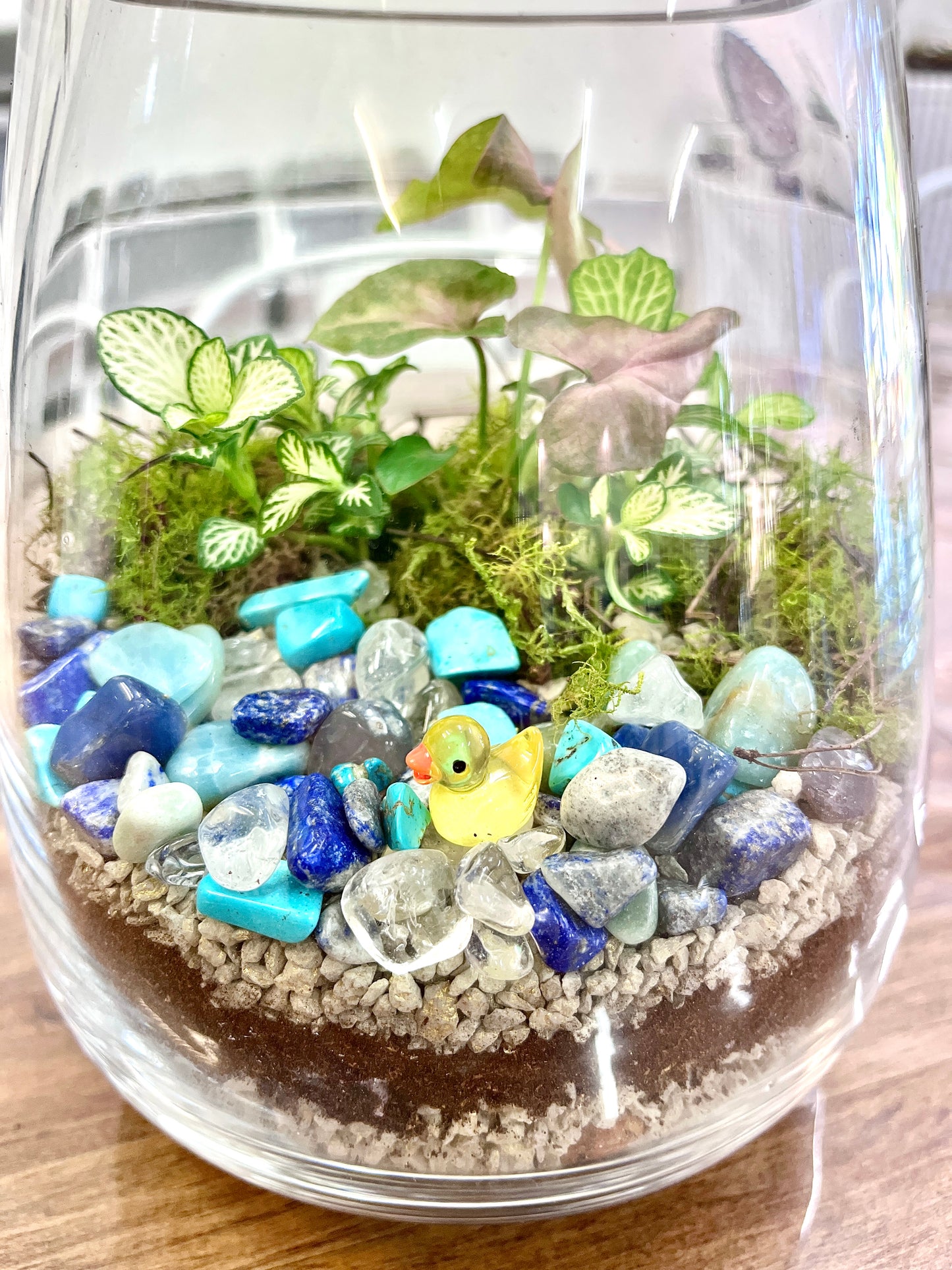 Duck Pond Terrarium